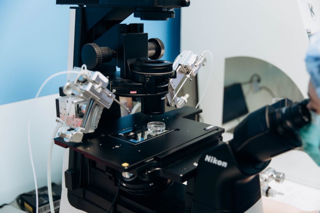 Mikroskopische Aufnahme des ICSI-Verfahrens, bei dem eine Samenzelle in eine Eizelle injiziert wird, in der IVMED Fertility Clinic Ukraine